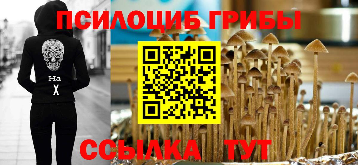 Псилоцибиновые грибы Psilocybine cubensis Изобильный